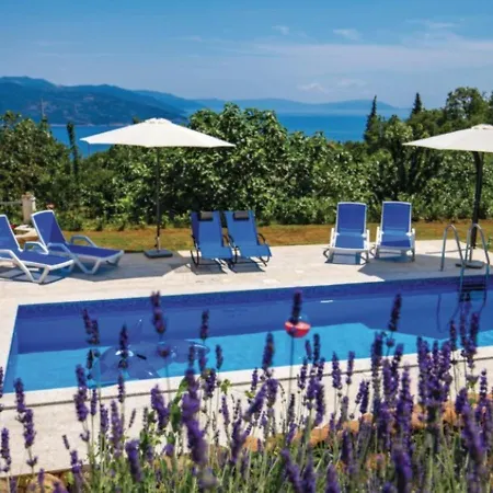 Rea With Pool *